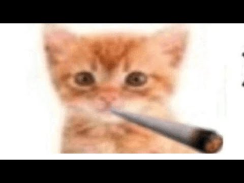 Видео: ЧОТА ДЕЛАЮ | !команды