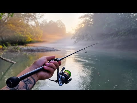 Видео: Рай для спиннингиста🎣 По красивым местам за прекрасной рыбой