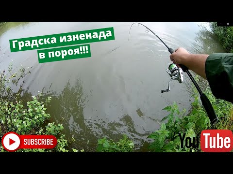 Видео: Градска изненада в пороя / Urban fishing in the rain