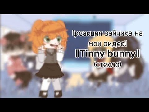 Видео: реакция зайчика на мои видео ||Tinny bunny|| (стекло)