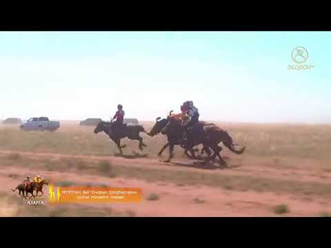 Видео: МУМУяач  Б,Цэндбаатарын цолны мялаалга ТУГАЛ УХАА азарганы хөшөөний нээлтэнд зориулсан наадам 2018
