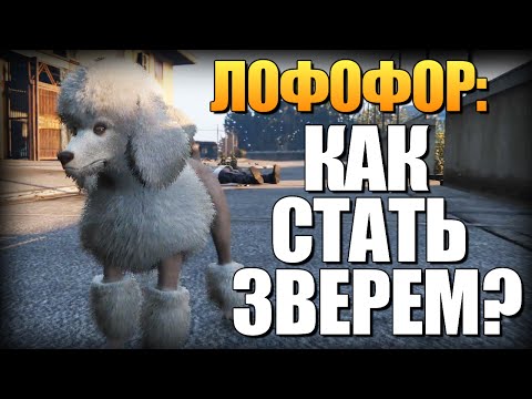 Видео: GTA 5 - Как Играть за Животных? (Лофофоры) #1