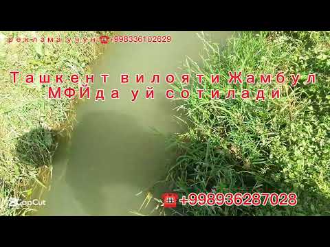 Видео: Суви зор жойдан уй-жой сотилади🏡 ☎️+998936287028 