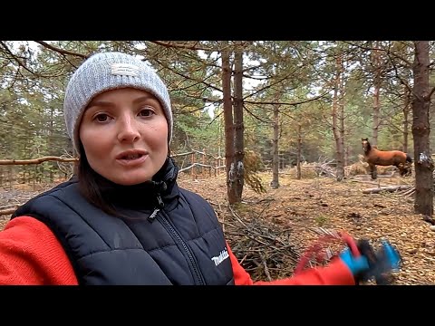 Видео: ДЕРЖАЛИ ЭТО В ТАЙНЕ. НЕ МОГЛИ НИКОМУ СКАЗАТЬ. Сделали забор на новой земле. Привезли опилки.