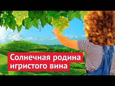 Видео: Один день счастья: итальянские виноградники
