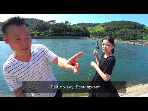 Видео: Путешествуем по Корее 3 l KOREA VLOG