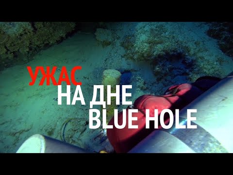 Видео: Ужас на дне Blue Hole/ Horror at the bottom of blue hole | 114 м глубина/ 114 m depth