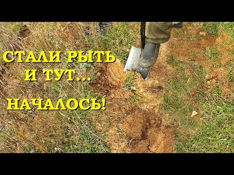 Видео: СТАЛИ РЫТЬ И ТУТ...НАЧАЛОСЬ! ГЛАЗАМ НЕ ПОВЕРИЛИ!