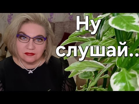 Видео: Ну слушай...