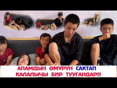 Видео: Апамдын омурун сактап калууга жардам бериниздерчи урматтуу кыргыз элим!!!