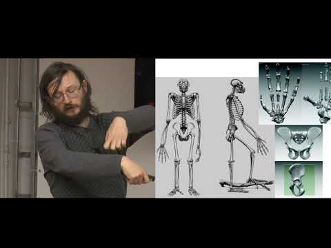 Видео: Станислав Дробышевский. Мини-курс Антропология 4