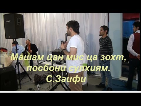 Видео: Саши Заифи. Машам цан мис ца зохч,посбони сулхиям