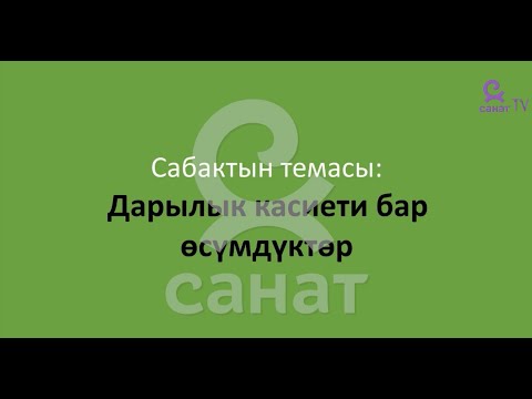 Видео: География 8 класс 30 сабак