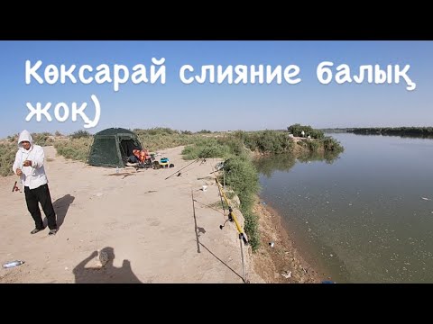 Видео: Көксарай слияние балықтар қайда?!
