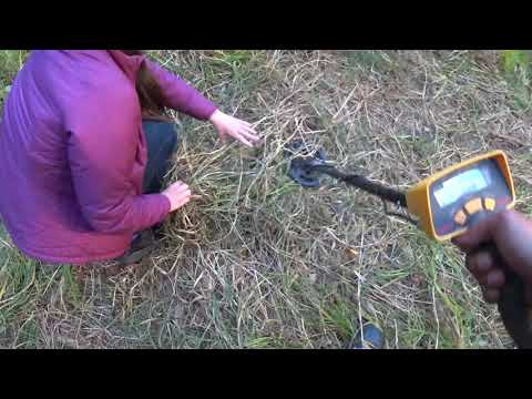 Видео: Ищем золотое кольцо в траве с помощью Garrett ACE 150 и Garrett pro-pointer AT
