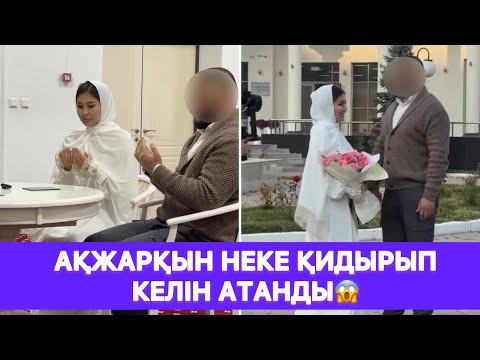 Видео: Ақжарқын НЕКЕ ҚИДЫРЫП КЕЛІН АТАНДЫ😱
