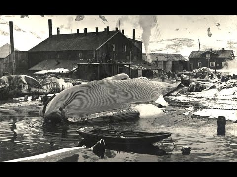 Видео: Настоящая история Александровска, или кто и зачем скрывает артефакты древности.