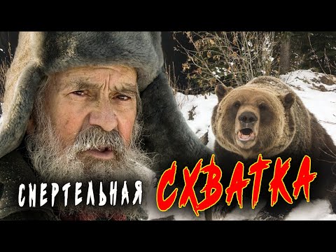 Видео: 🐻Потревожили медведя в берлоге и вот что из этого вышло! Случай в тайге!