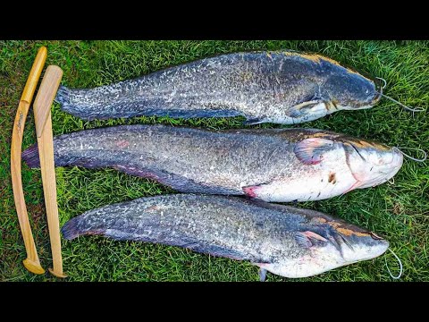 Видео: Наконец то СОМ на КВОК, Клюют из под ЛОДКИ как сумасшедшие , Ловля сома на квок 2022