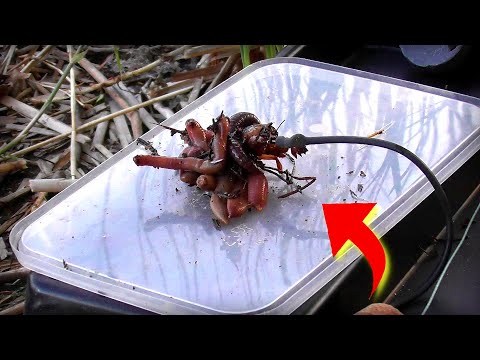 Видео: Жарти скінчилися !!! Рибалка на Велику рибу !!!