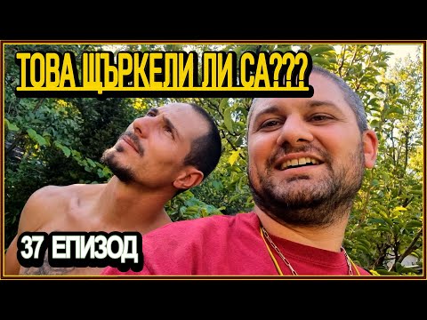 Видео: Докато се ВЪРНА, КЪЩАТА да е ГОТОВА!| Живот на село с Дидо и Кали