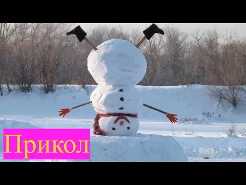 Видео: Смешная подборка с тик-ток #11 Я ржал до слез 😂 30 Минут смеха Смешные видео Приколы за ноябрь