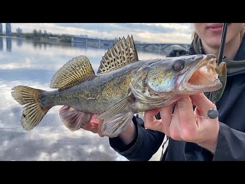 Видео: СУДАК на Набережній. Streetfishing по високій воді