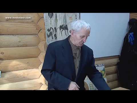 Видео: Кашковский_  Про пыльцеуловитель  - Устройство и правила сбора пыльцы