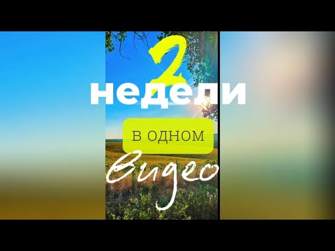 Видео: 2 недели в одном коротком видео.