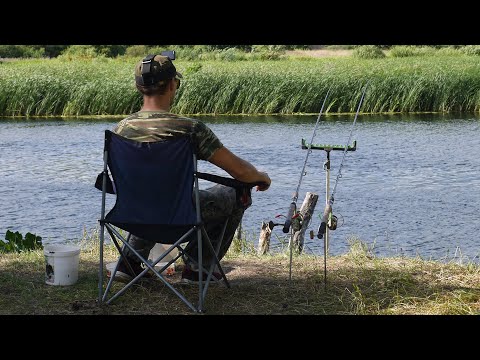 Видео: Фидер на реке Воронеж. Рыбалка в Воронежской области.