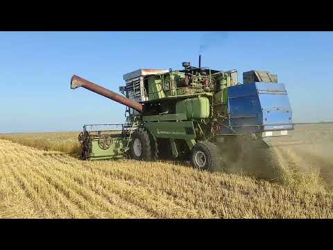 Видео: ЕНИСЕЙ 1200-1-НМ.Обзор комбайна, поломки.Начало уборки 2021.