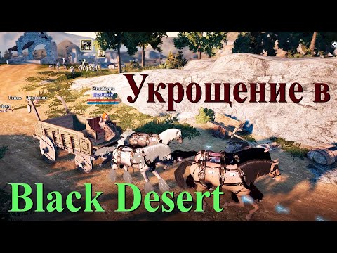 Видео: Все про коневодство и укрощение в Black Desert