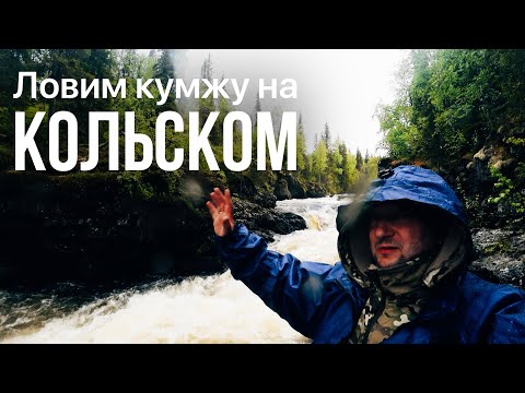 Видео: Ловим кумжу на Кольском  (2024)