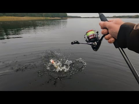 Видео: ЛОВЛЯ ЩУКИ НА ОЗЕРЕ.ДЖЕРК БЕЙТЫ.ОТ НУЛЯ УШЁЛ!!!ГДЕ ОН,ОСЕННИЙ ЖОР???