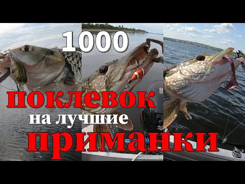 Видео: Супер рыбалка на лучшие приманки