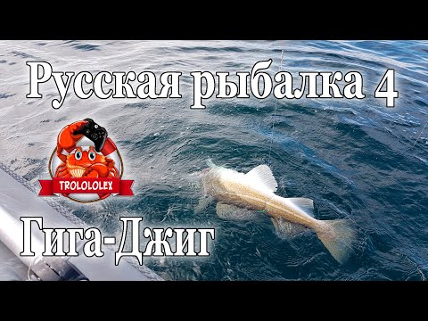Видео: Русская рыбалка 4 Тест тайги на ГИГАДЖИГ!