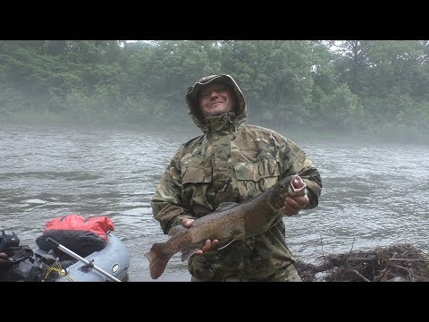 Видео: Летний сплав по реке Арму