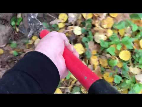 Видео: Эквинокс 800 тест на чешую большая катушка