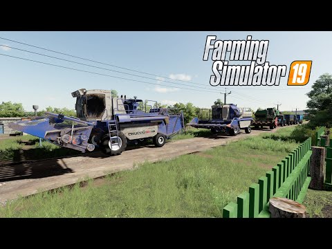 Видео: FS19 |Карта Балочки| Завершили уборку поля с подсолнухами Енисей-954, НИВА Эффект, МТЗ-1221/1025.2