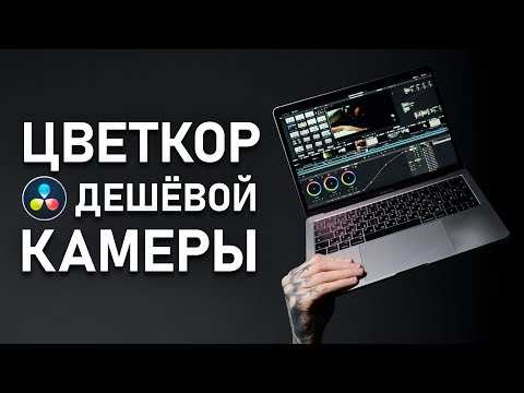 Видео: БОЖЕСТВЕННАЯ Цветокоррекция ДЕШЕВОЙ КАМЕРЫ в DAVINCI RESOLVE