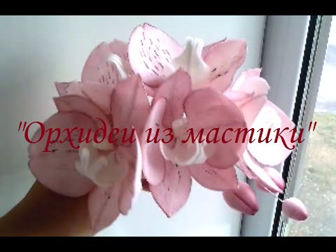 Видео: Орхидеи из мастики