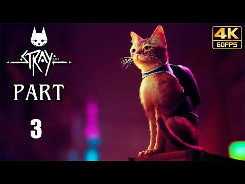 Видео: Прохождение Stray -- Часть 3: Дефлюксор [4K]