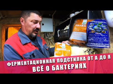 Видео: ФЕРМЕНТАЦИОННАЯ ПОДСТИЛКА ОТ А ДО Я | 2 ГОД НА БАКТЕРИЯХ | БАКТЕРИИ ДЛЯ ГЛУБОКОЙ ПОДСТИЛКИ