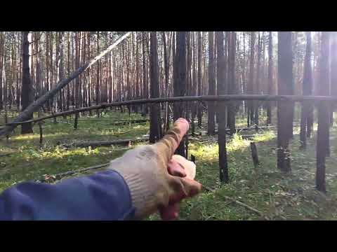 Видео: готовим дрова . серия √ 1 .#штиль #дрова #лес