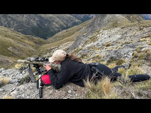 Видео: 308win Охота на кабанов | Олени на открытой местности |