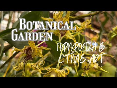 Видео: Botanical Garden в Атланте | Природа в стиле Art