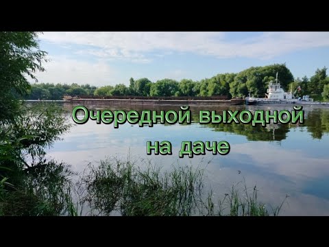 Видео: Выходной на даче (18.07.24)