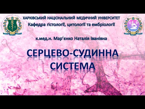 Видео: Серцево-судинна система. Гістологія