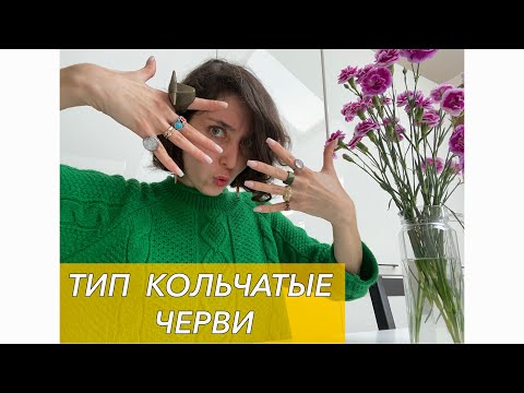 Видео: Урок "Кольчатые черви" - ЦТ, ЕГЭ, ЗНО