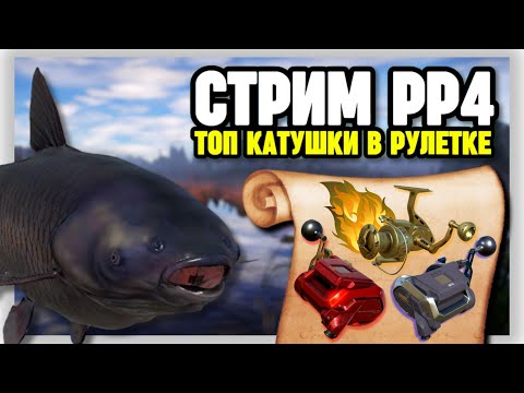 Видео: 🔴 СТРИМ РР4┃🔥ЗА ЧЁРНЫМ АМУРОМ на озеро СТАРЫЙ ОСТРОГ┃🎁 РАПТОР и ВЕНГА в рулетке┃maXS1k